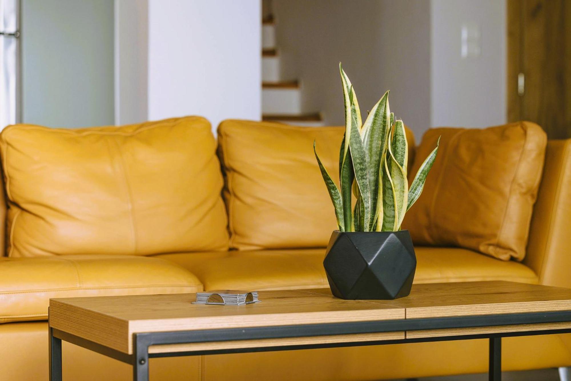 Anemos Luxury Villas Rodhákinon Ngoại thất bức ảnh